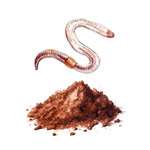 Earthworm casting source used in Noot