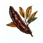 Molasses source used in Noot