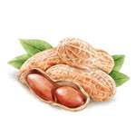 Peanut meal source used in Noot