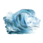 Seawater mineral source used in Noot