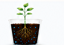 Water-only plant progress at week two