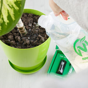 Watering houseplants with Noot